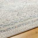 Dakesha Traditional Charcoal/Beige Area Rug