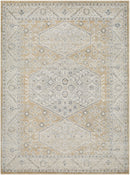 Demarco Traditional Saffron Area Rug