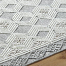 Aryan Modern Light Gray Area Rug