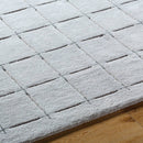 Richad Modern Gray Area Rug
