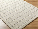 Richad Modern Tan Area Rug