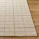 Nasreen Modern Tan Area Rug