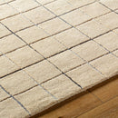 Nasreen Modern Tan Area Rug