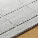 Isai Modern Gray Area Rug