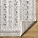 Lindell Modern Ivory/Black Area Rug