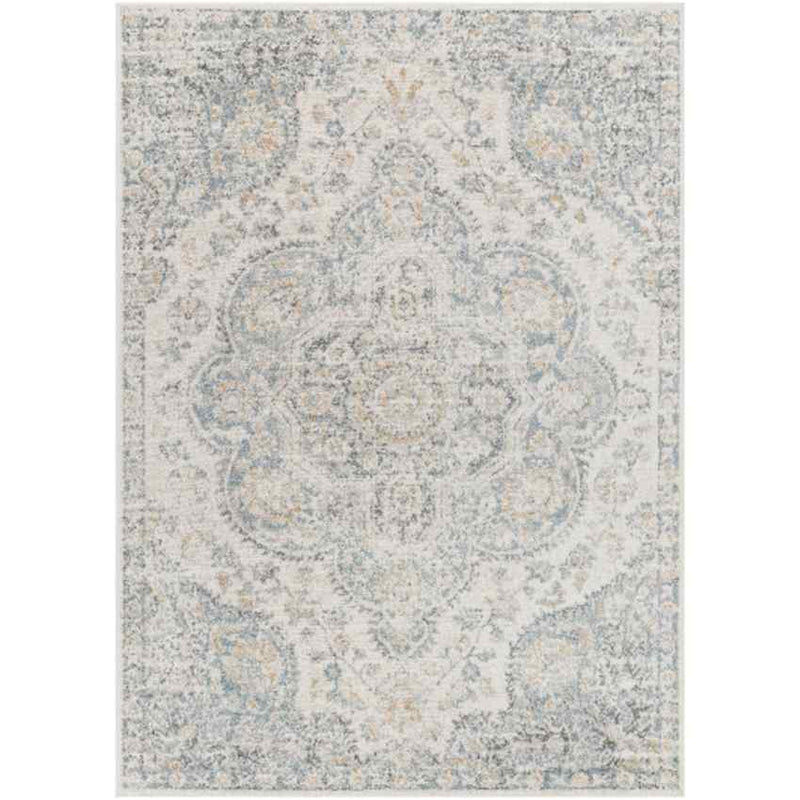 Lola Traditional Light Gray Area Rug