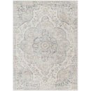 Lola Traditional Medium Gray Area Rug