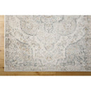 Lola Traditional Medium Gray Area Rug