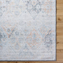 Emilly Traditional Amber Area Rug