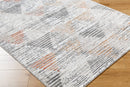 Robina Modern Charcoal Area Rug
