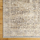 Jawad Traditional Light Brown/Light Slate Area Rug