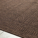 Benjaman Bohemian Brown Area Rug