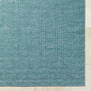 Benjaman Bohemian Dusty Sage Area Rug