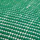 Carianne Fern Pillow Cover