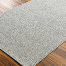 Birdie Solid and Border Silver Area Rug - Becki Owens x Livabliss