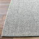 Birdie Solid and Border Silver Area Rug - Becki Owens x Livabliss
