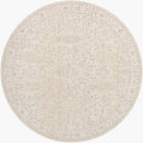 Krissa Traditional Light Silver Area Rug