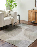 Ananda Modern Light Gray Area Rug