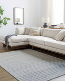 Emanuela Cottage Light Silver Area Rug