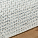 Emanuela Cottage Light Silver Area Rug