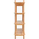 Rickita Brown Bookcase
