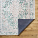 Special Traditional Dark Green Washable Area Rug