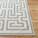Capria Global Medium Gray/Light Beige Area Rug