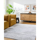 Rajan Global Light Gray Area Rug