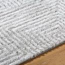 Rajan Global Light Gray Area Rug