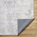 Olympic Traditional Gray/Light Beige Area Rug - Our PNW Home x Livabliss