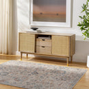 Olympic Traditional Gray/Light Beige Area Rug - Our PNW Home x Livabliss