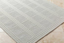 Pinar Global Light Gray Area Rug