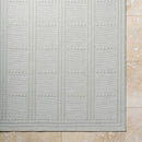 Pinar Global Light Gray Area Rug