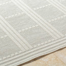 Pinar Global Light Gray Area Rug