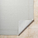 Sadiyya Modern Light Gray Area Rug