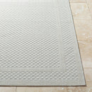 Sadiyya Modern Light Gray Area Rug