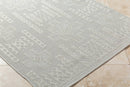 Towana Modern Light Gray Area Rug