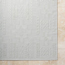 Towana Modern Light Gray Area Rug