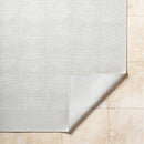 Christiaan Cottage Light Gray Area Rug