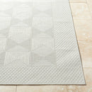 Christiaan Cottage Light Gray Area Rug