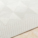 Christiaan Cottage Light Gray Area Rug