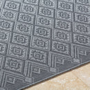 Selenia Cottage Charcoal Area Rug