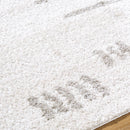 Shareef Modern Medium Gray Washable Area Rug