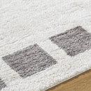 Tameka Modern Charcoal Washable Area Rug