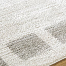 Tameka Modern Medium Gray Washable Area Rug