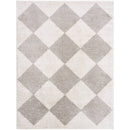 Jason Modern Medium Gray Washable Area Rug
