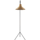 Rula Rustic Black Floor Lamp
