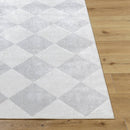 Senior Modern Light Gray Washable Area Rug