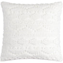 Barron White Pillow Cover
