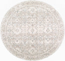 Trenna Traditional Light Silver Area Rug
